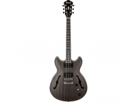 Ibanez AS53-TKF Artcore Ibanez AS53-TKF Artcore